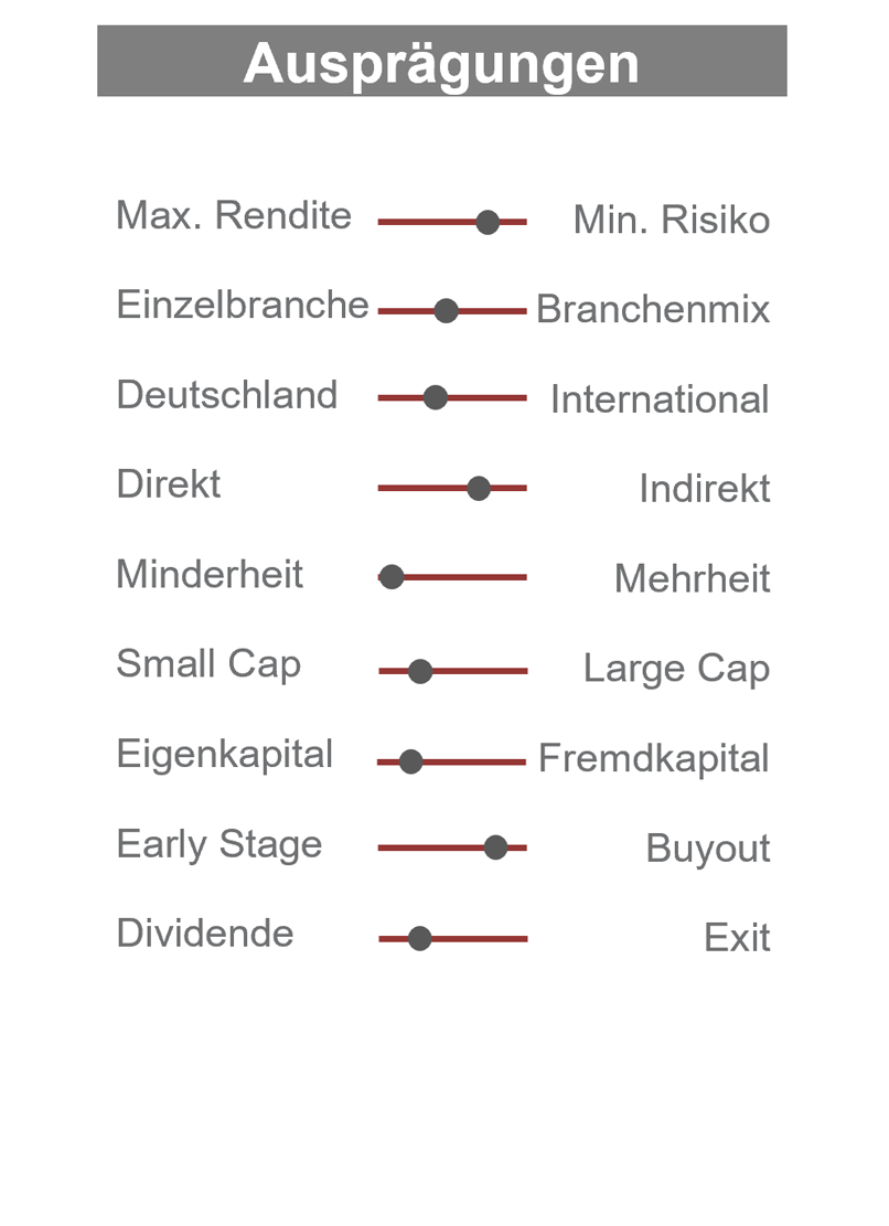 beteiligungen_auspraegungen.png